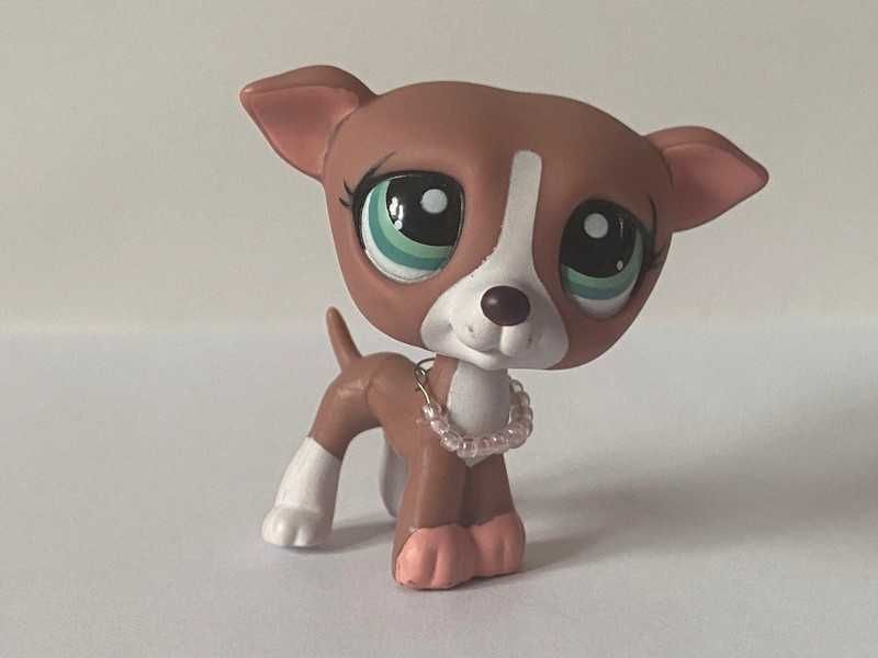 LPS littlest pet shop pies piesek chart figurka