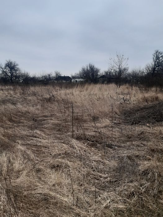 Продам земельну ділянку площею  32 сотки в с. Миколаївка