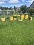 Sprzedam ule wielkopolskie