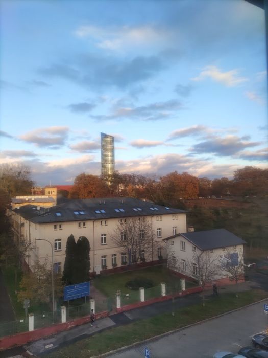 Przytulny pokój w trzypokojowym mieszkaniu dla meczyzny