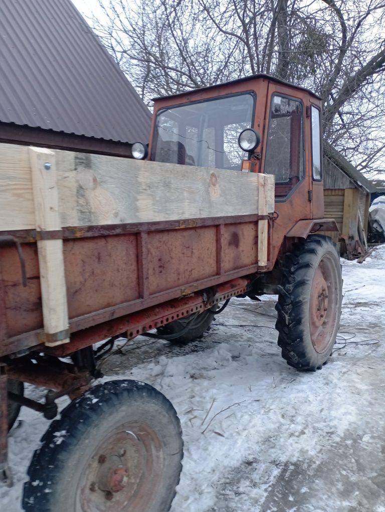 Продам трактор т-16м в хорошому стані з документами  в Олевську