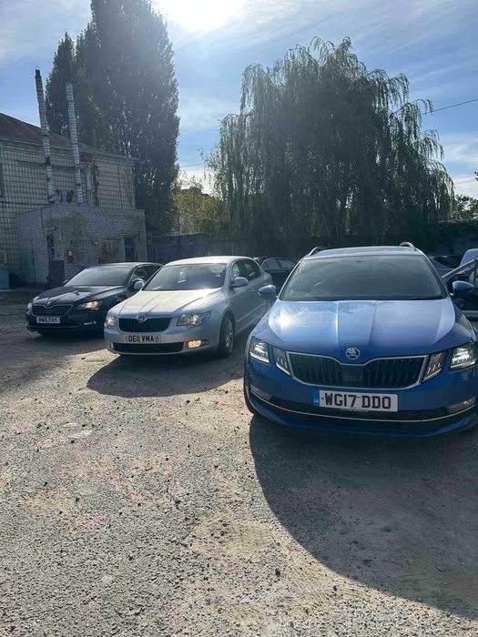 Розборка Шкода Октавія А7. Разборка Skoda Octavia A7. Шрот Шкода