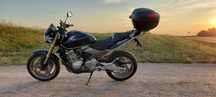 Honda Hornet PC 36 2006