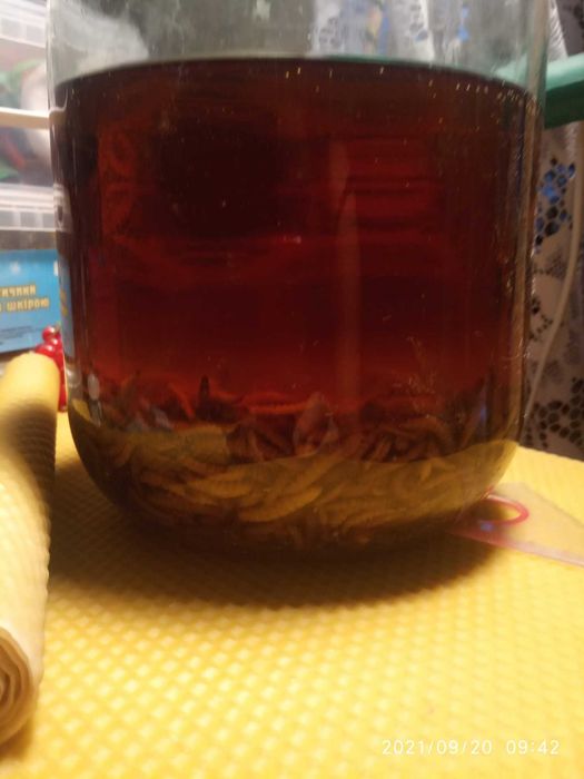 Екстракт Воскової Молі Великої, ПЖВМ