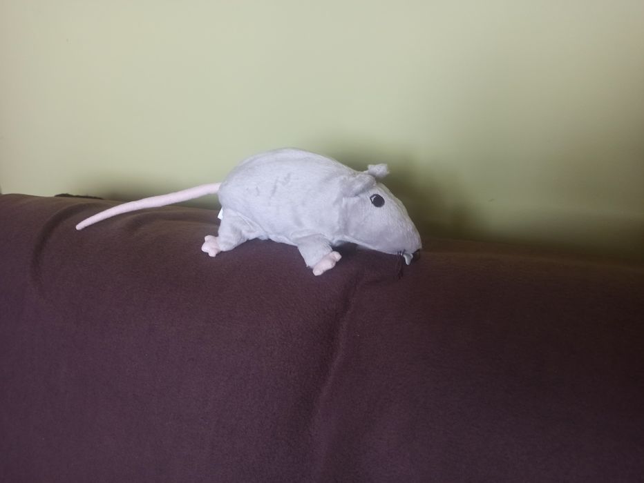 Szczur szczurek IKEA maskotka