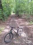 Rower dirt octane one disel full custom