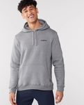 Худи Patagonia  Fitz Roy Horizon Uprisal Hoodie серое оригинал