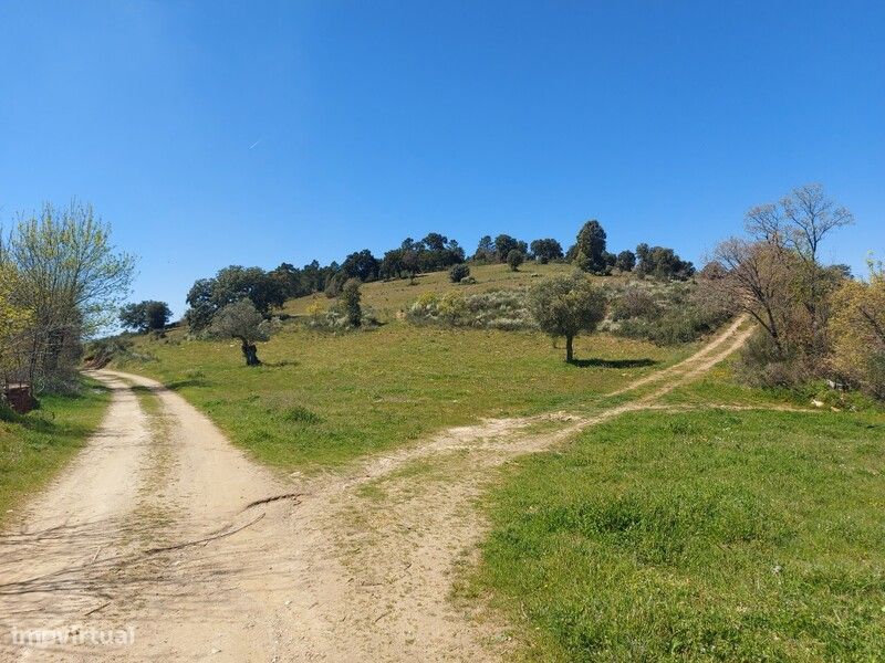 Venda Judicial Terreno Rústico Barreiros Castro Vicente Mogadouro