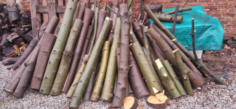 drewno dębowe dąb dębina AKACJA na opał wałki do kominka drzewo  KLON