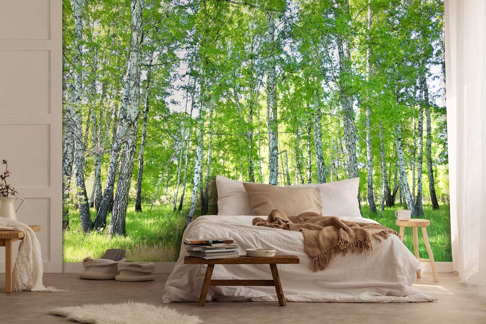 Fototapeta Las Brzozy Natura Do Sypialni Salonu Kuchni Tapeta + KLEJ