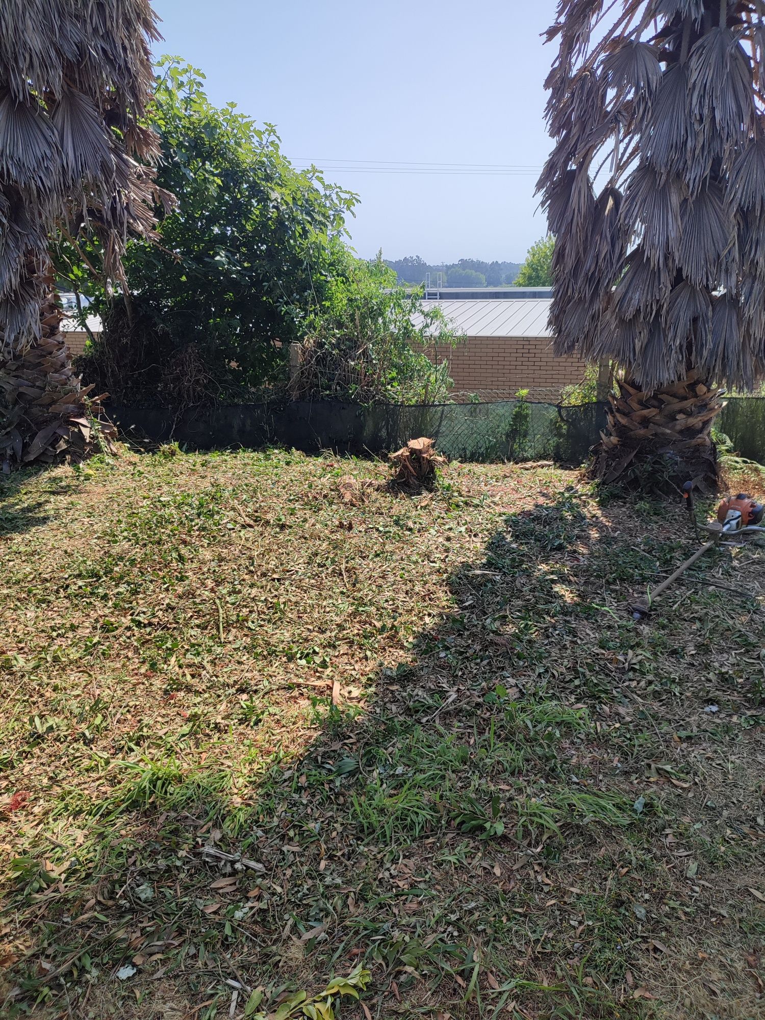 Fazo tudo tipo de limpezas terrenos jardim