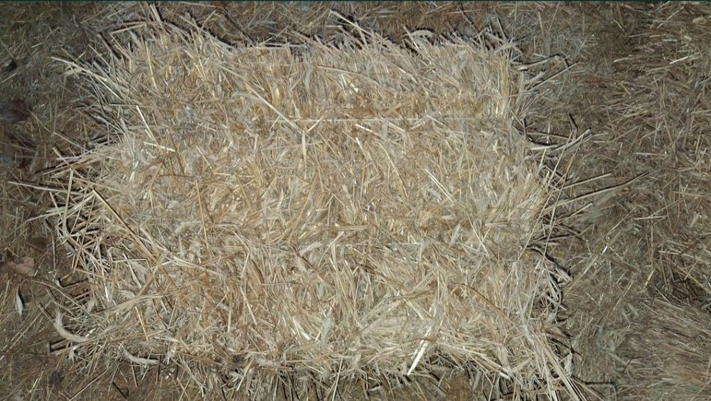 Słoma żytnia kostka 2025