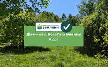 Продаж земельної ділянки 9 сот в с. Нова Гута