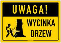 wycinka drzew, przycinanie gałęzi z podnosnika, drabiny,, formowanie ż