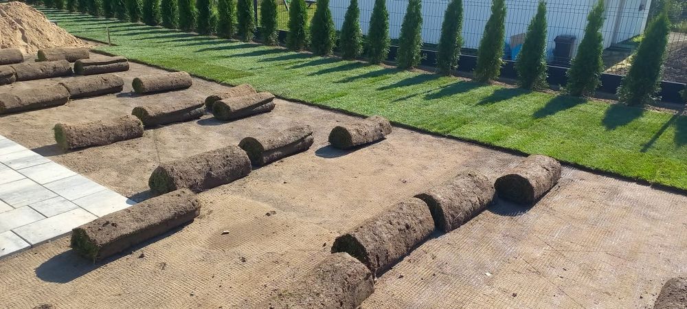 Trawa z rolki "Premium" – plantacja (*montaż)