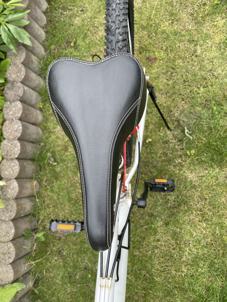 Rower górski Vandal 26 dualxc ccm