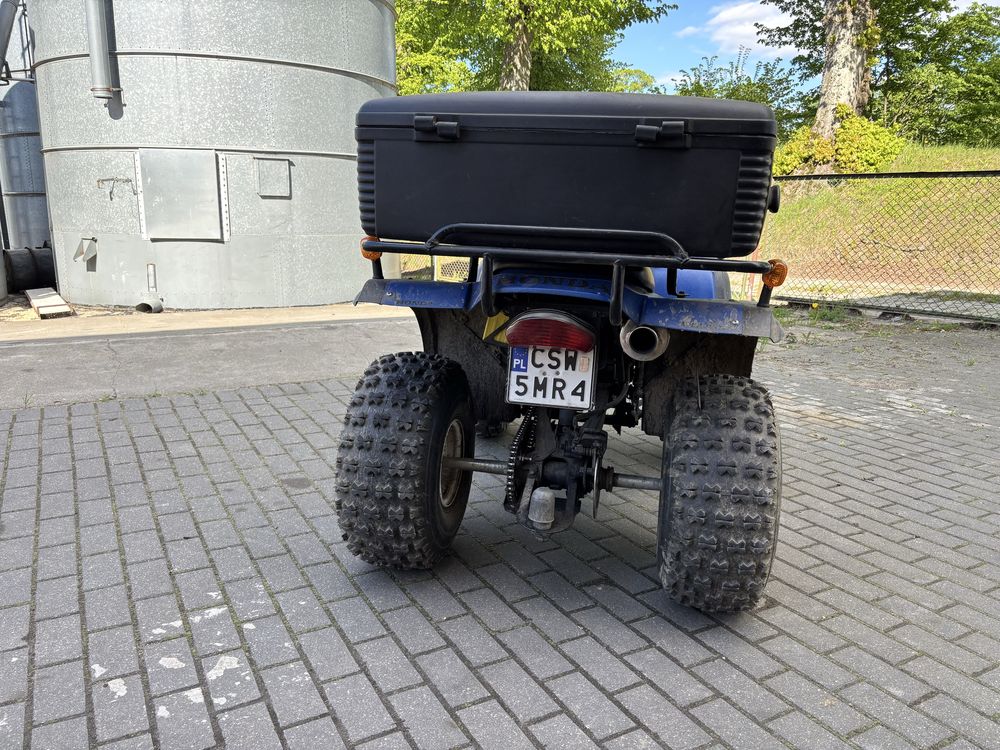 Quad Adly 300 , na wzór Honda TRX 300