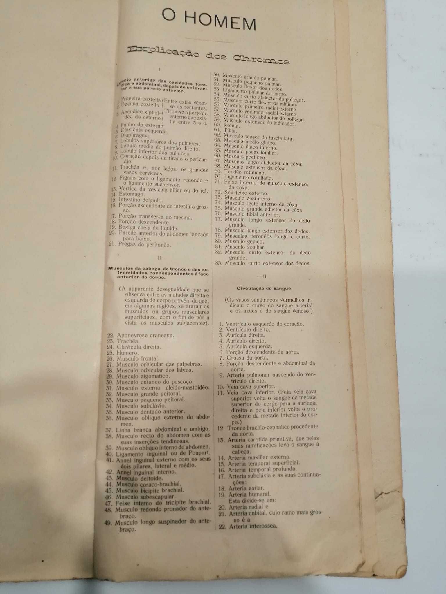 Anatomia do homem -Livro antigo - final séc XIX