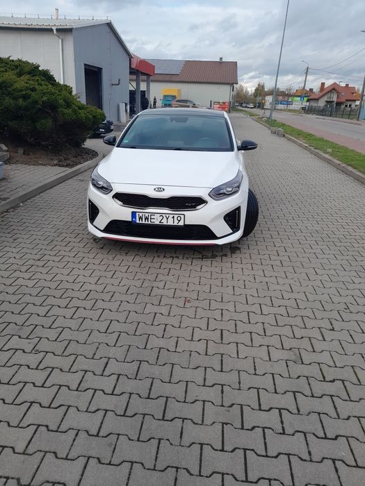 Kia proceed gt line panorama 204 konie