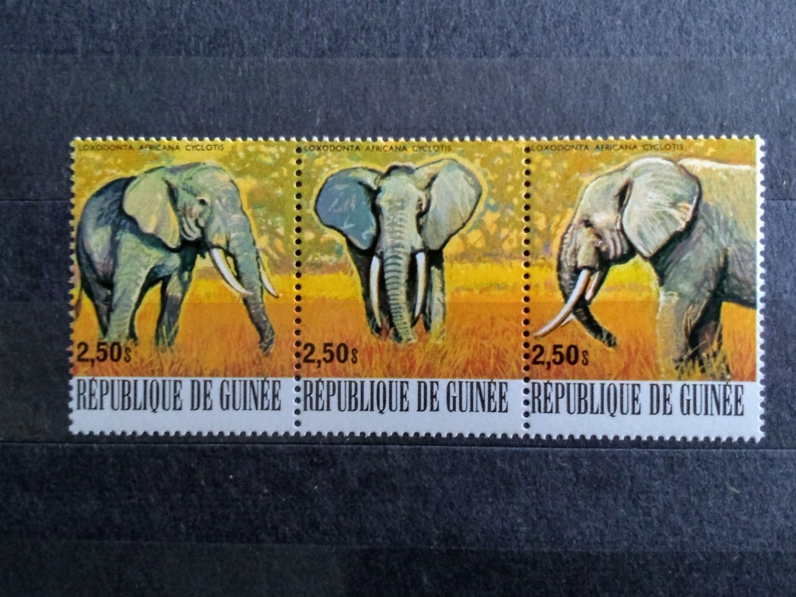 Znaczki Gwinea 1977 fauna słonie