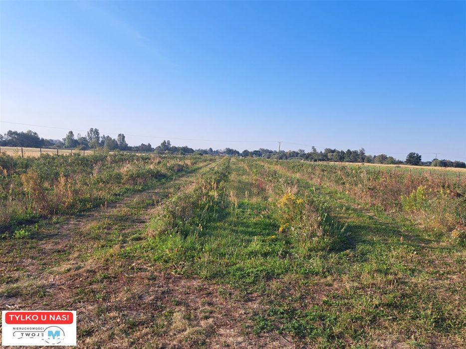 Działka rolno-bud. w terenach upraw sadowniczych!