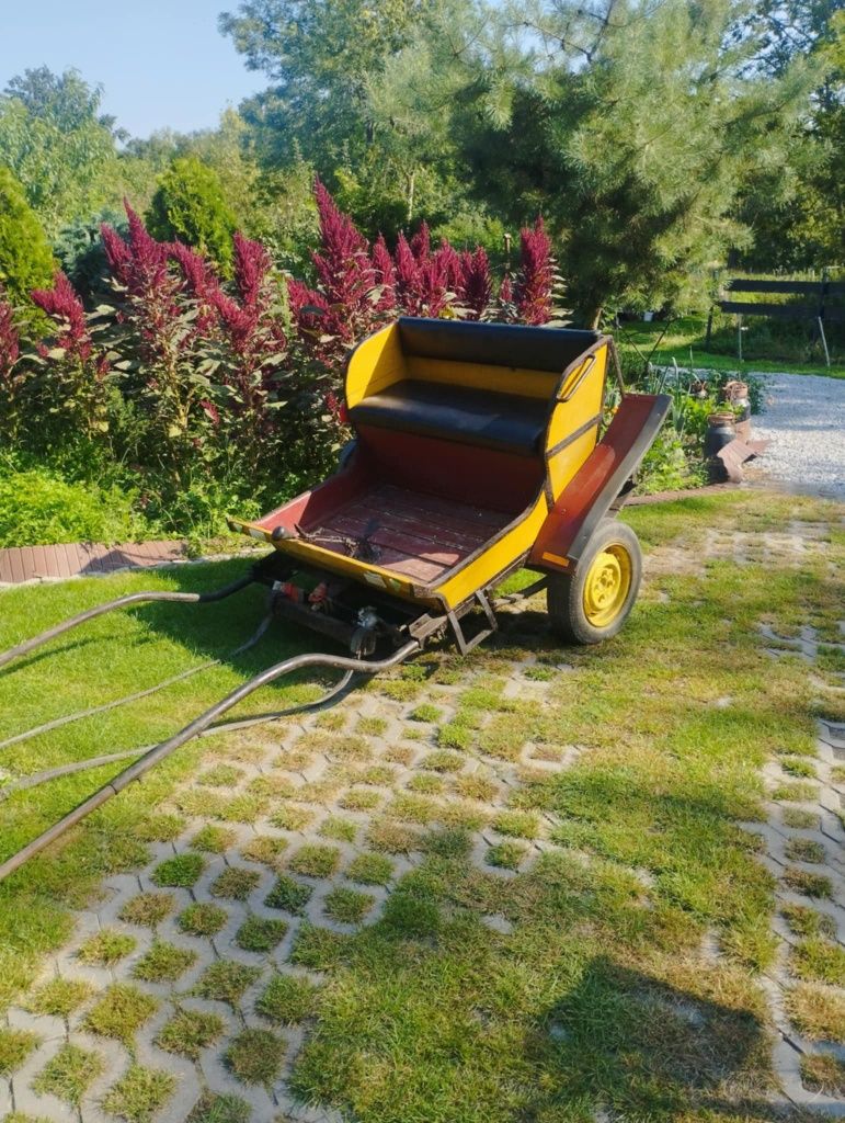 Bryczka dla kuca