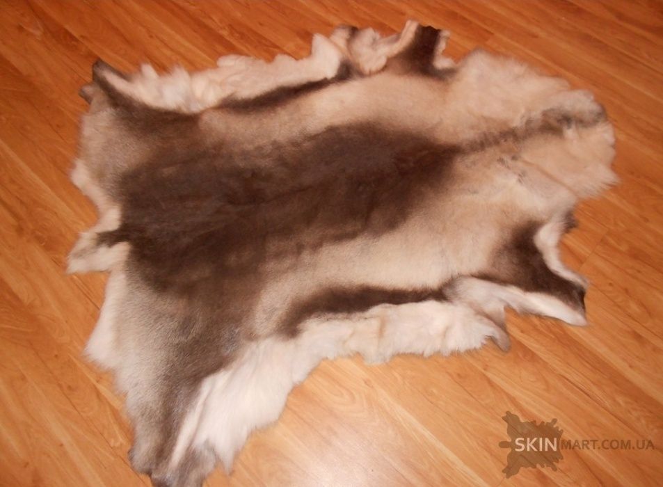 Олень, шкура з оленя, шкура диких тварин