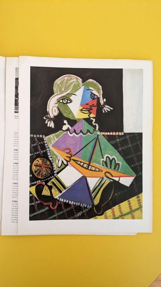 Livro sobre Picasso