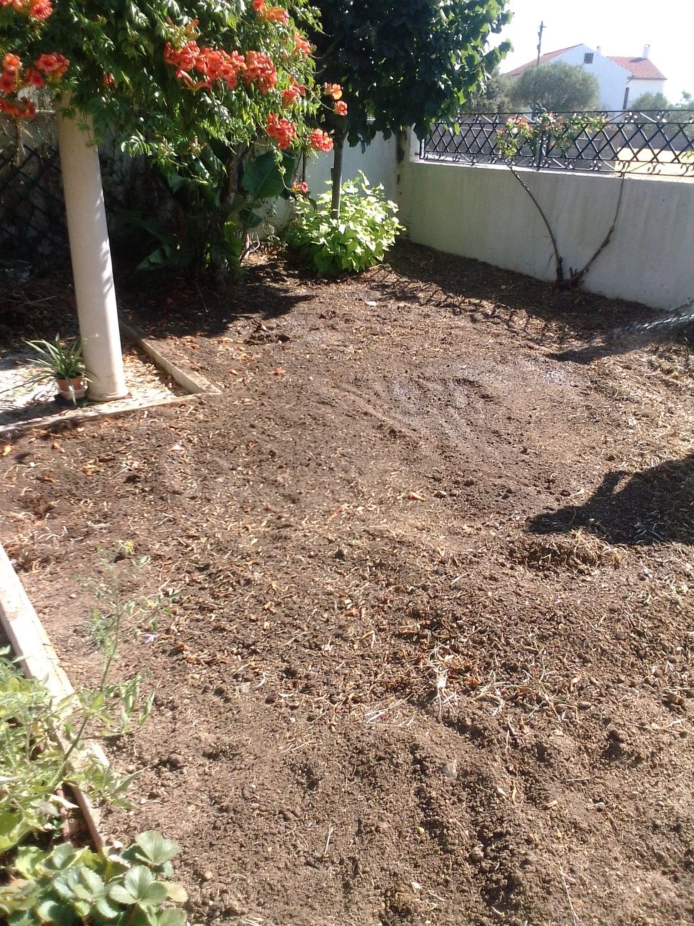 Limpeza terrenos, relva natural e sintética,montagem piscinas, liners