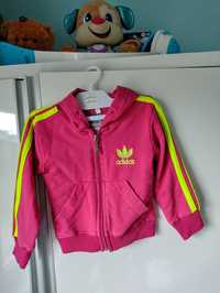 Bluza dla dziewczynki Adidas 80