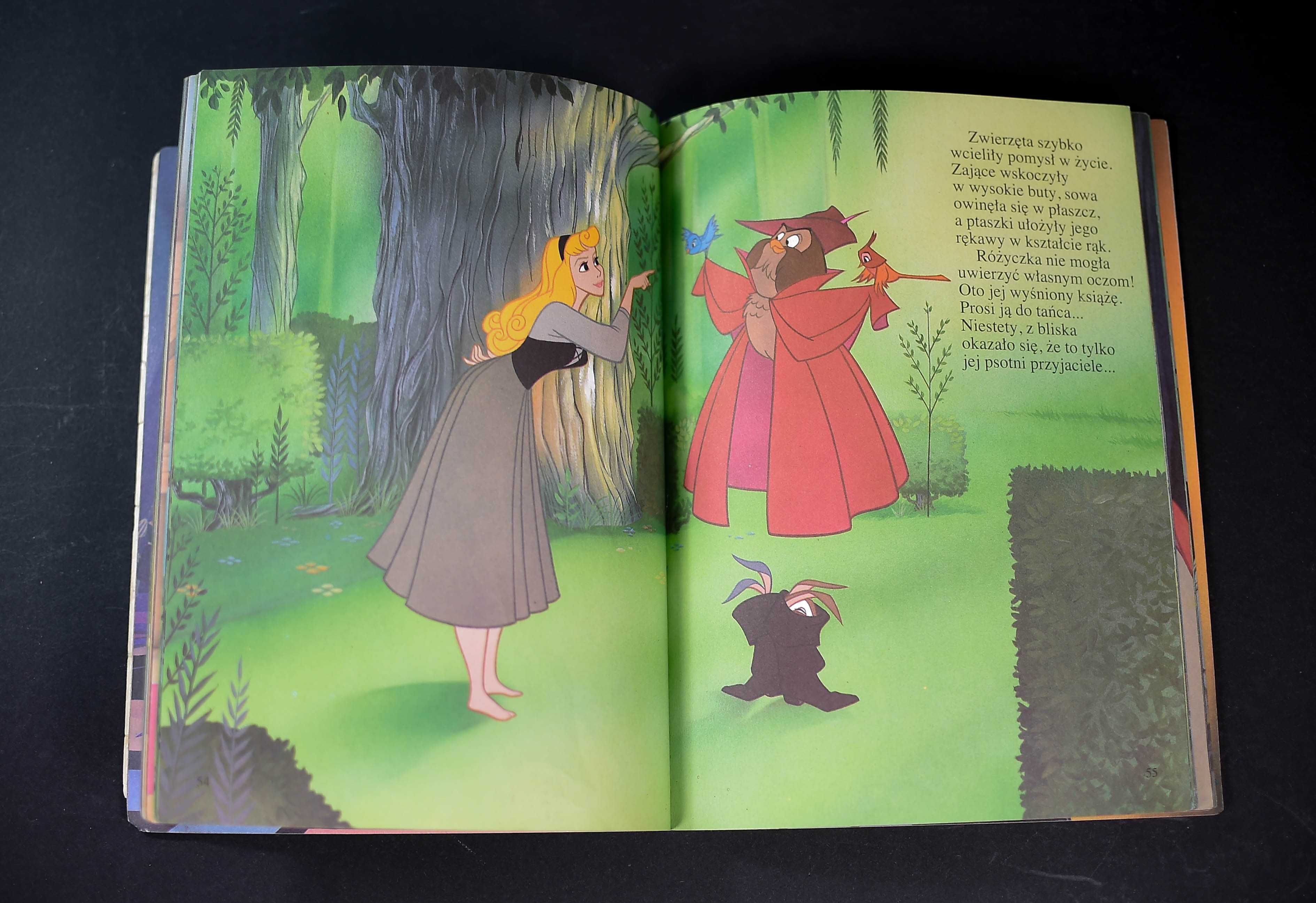 Książka # Śpiąca Królewna - Walt Disney B5
