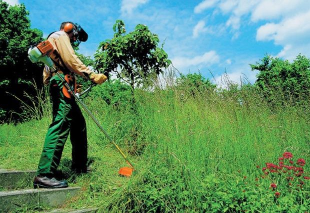 Limpeza de terrenos com roçadeira