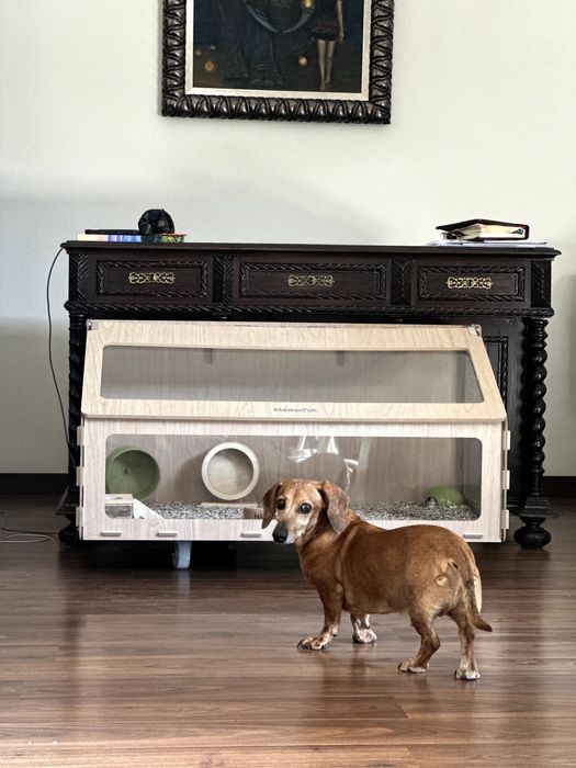 Gaiola MewooFun para os pequenos animais