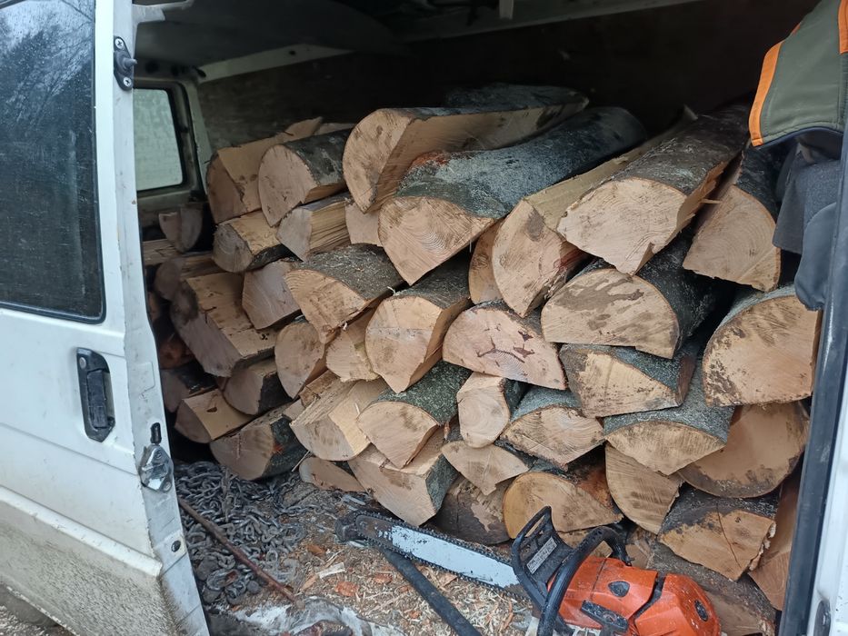 Drewno bukowe świeże