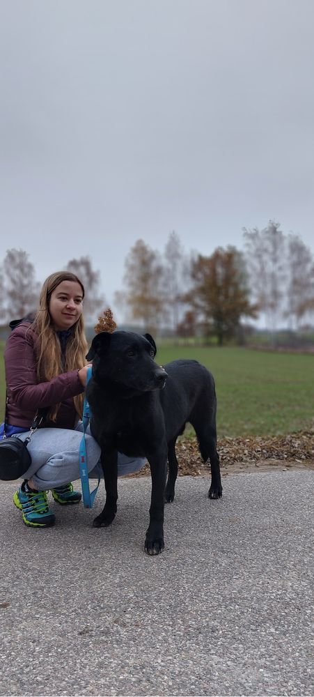 Może Ty dasz szanse Rodosowi? Adpotuj go!