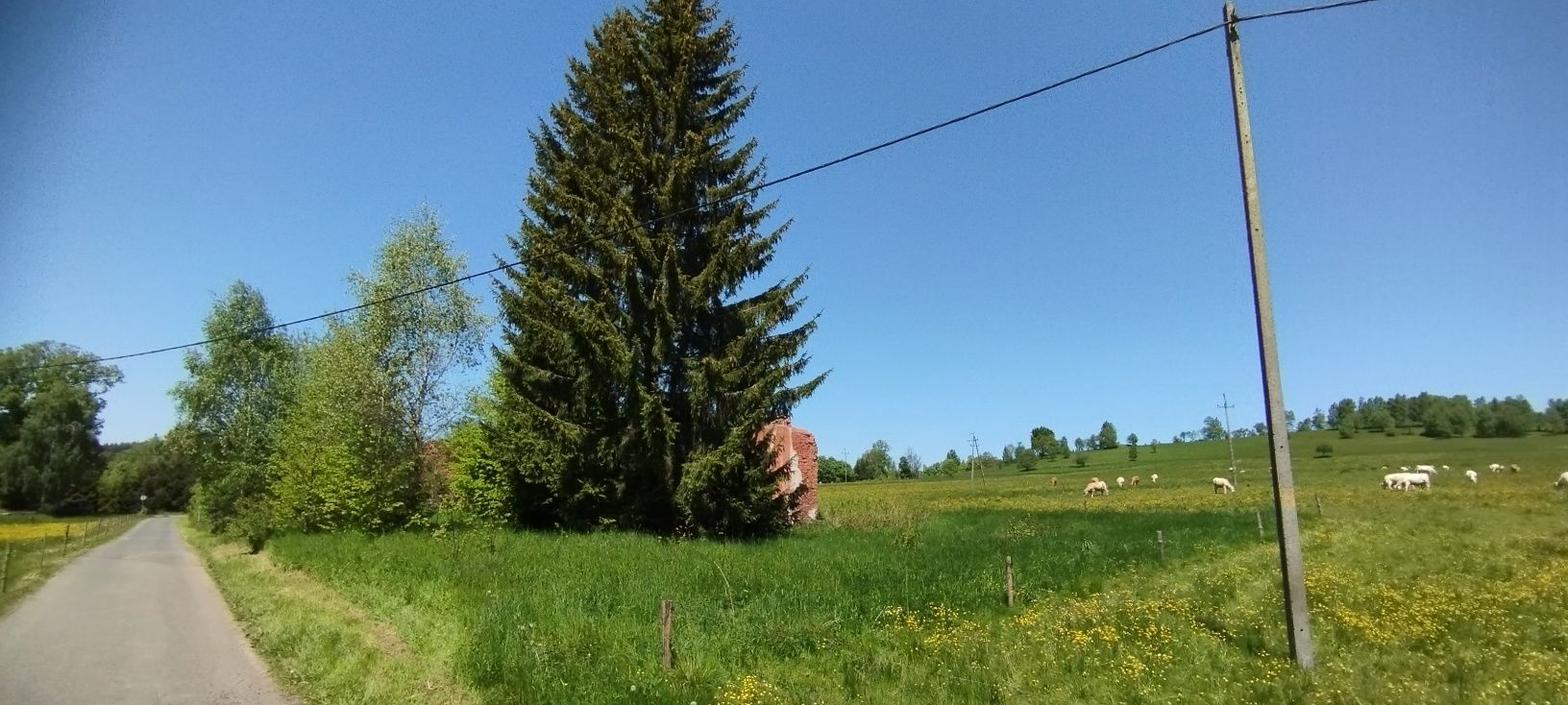 Działka budowlana Góry Sowie okolice Sierpnicy Sokolca Świerki