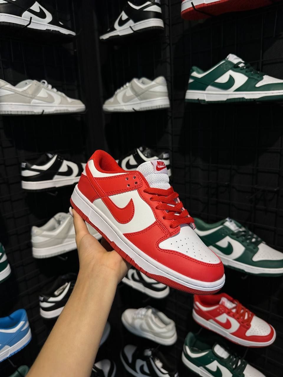 Nike Dunk Retro/Sb