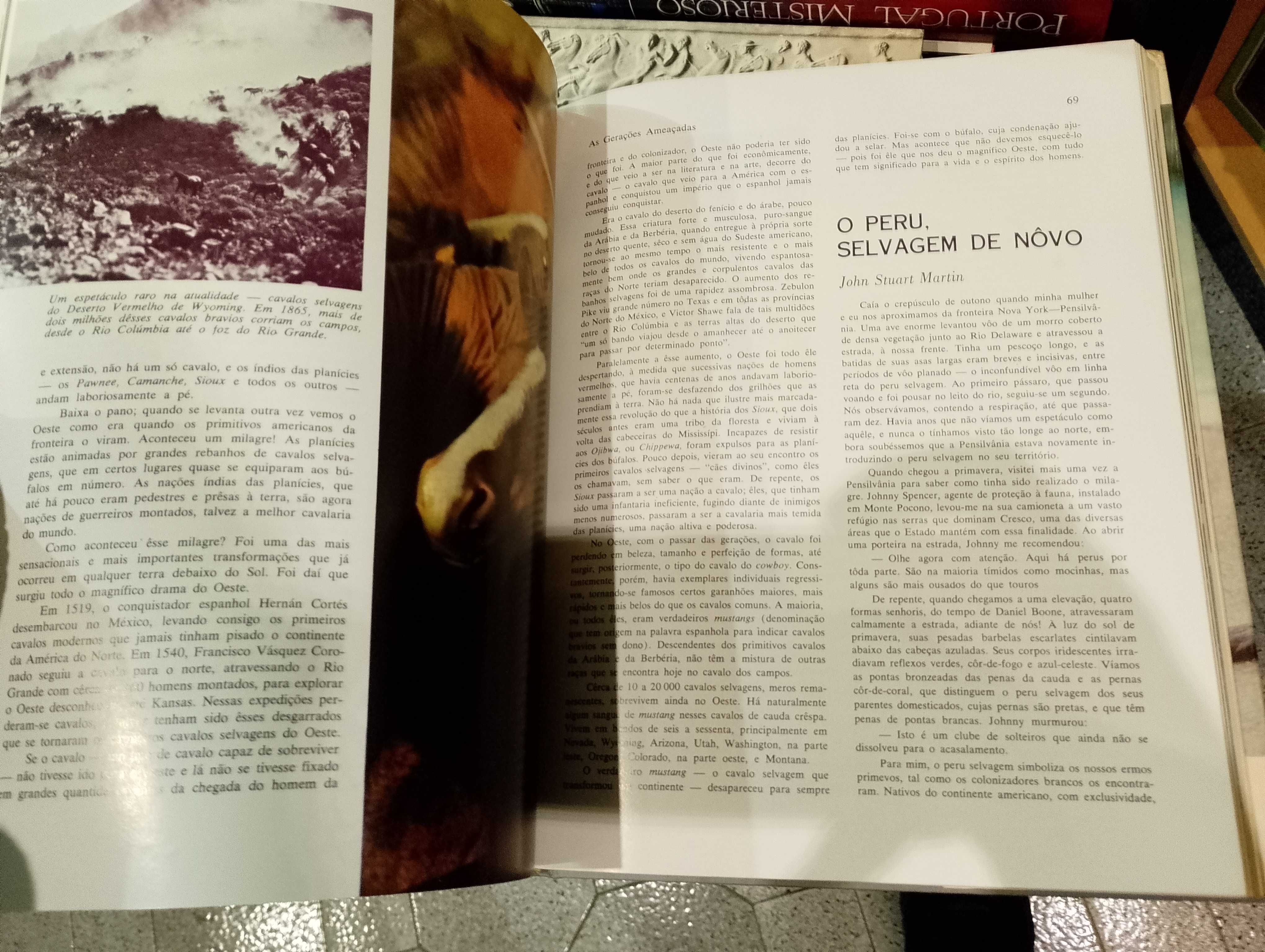Maravilhas e Mistérios do Mundo Animal - Seleções do Reader's Digest