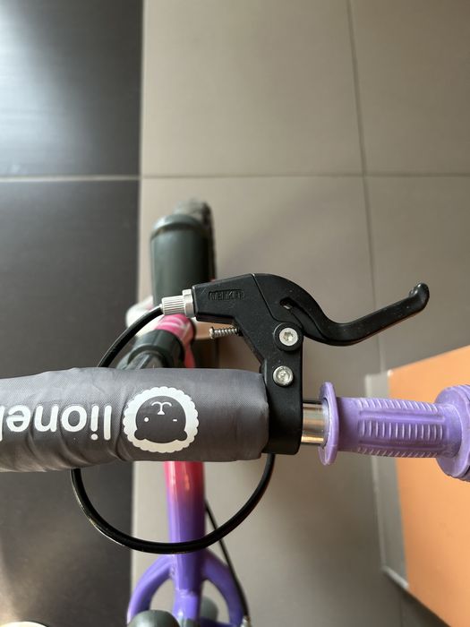 Rowerek biegowy Lionelo Dan