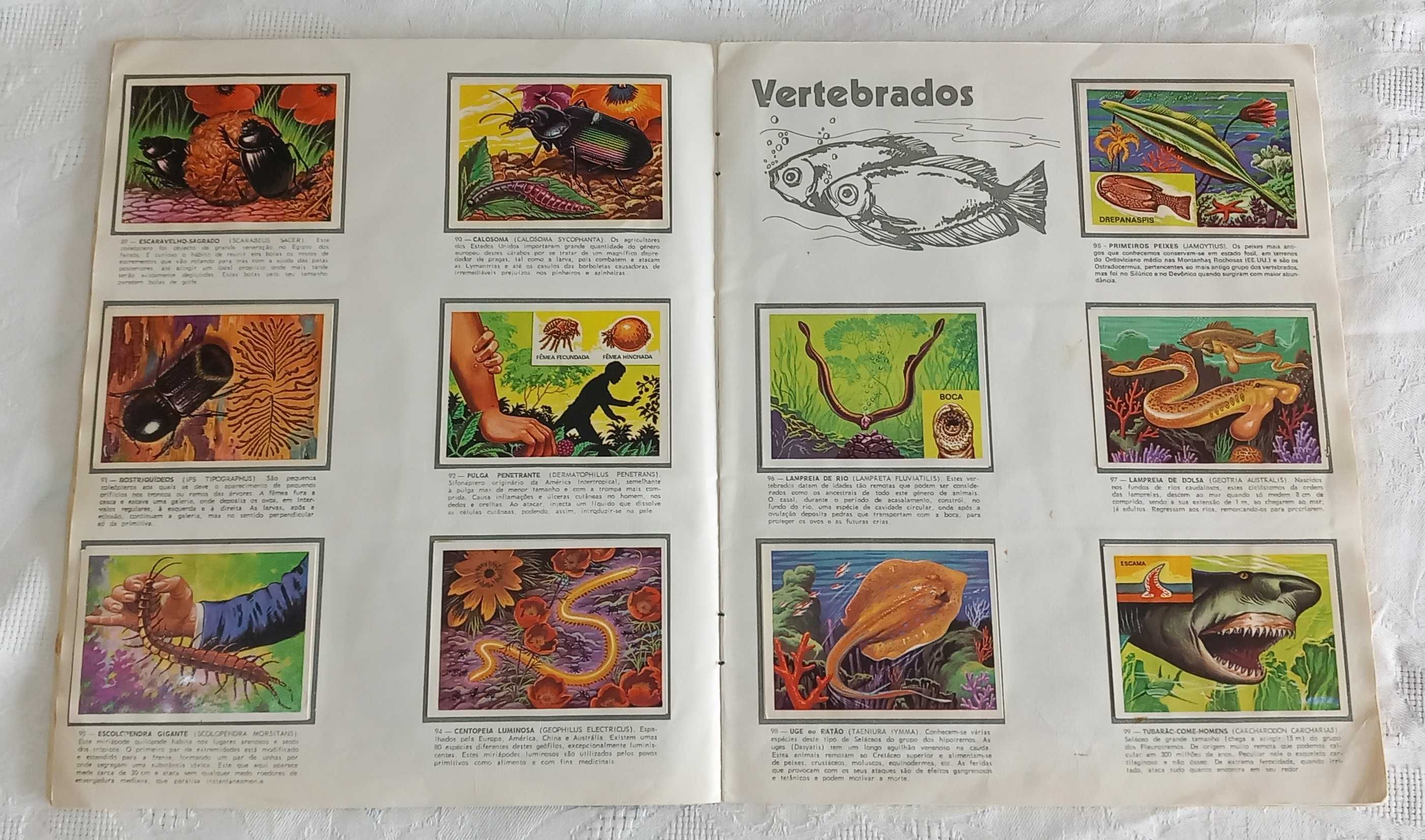 Caderneta de cromos completa Panorama Zoológico