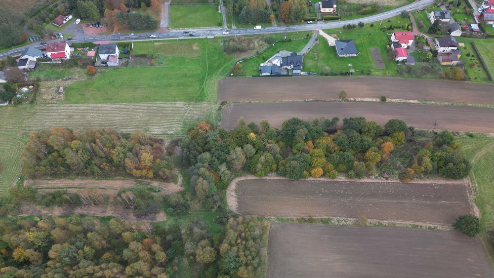 Duża działka w zielonej części Wodzisławia Śląskiego – 3411 m²