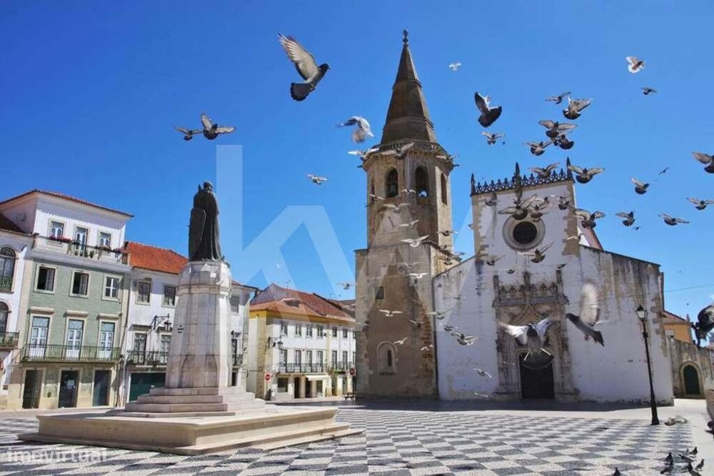 Terreno 4680 m2 - Venda  Chousa  Serra Junceira -Tomar - Santarém