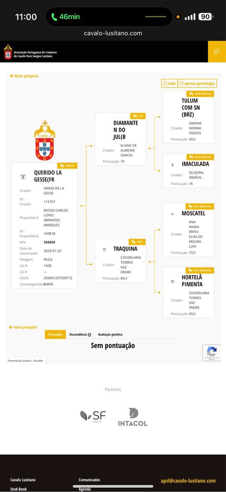 Poldro Psl Letra Q