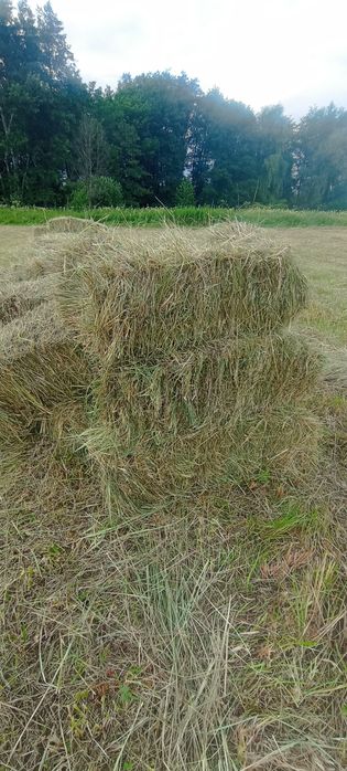 Продам сіно в тюках