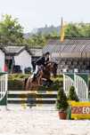 Cavalo hanoveriano