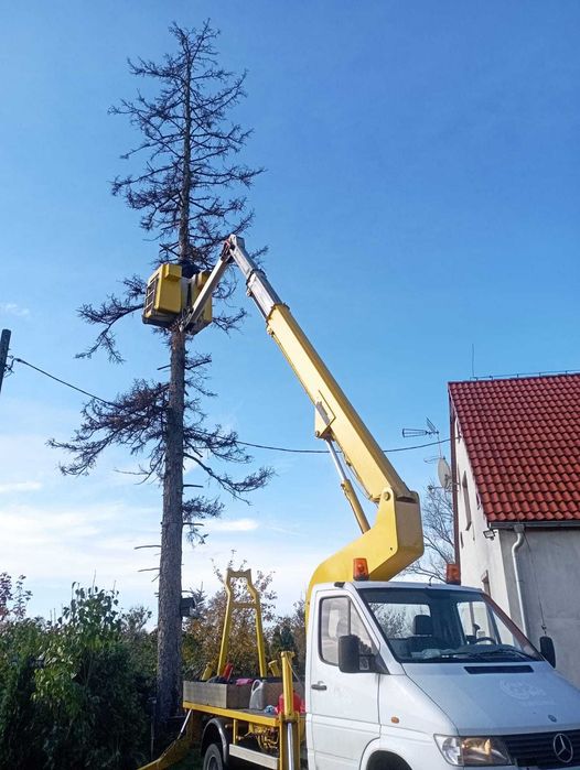 Wycinka drzew, podnośnik koszowy, usuwaniekorzeni, czyszczenie działek