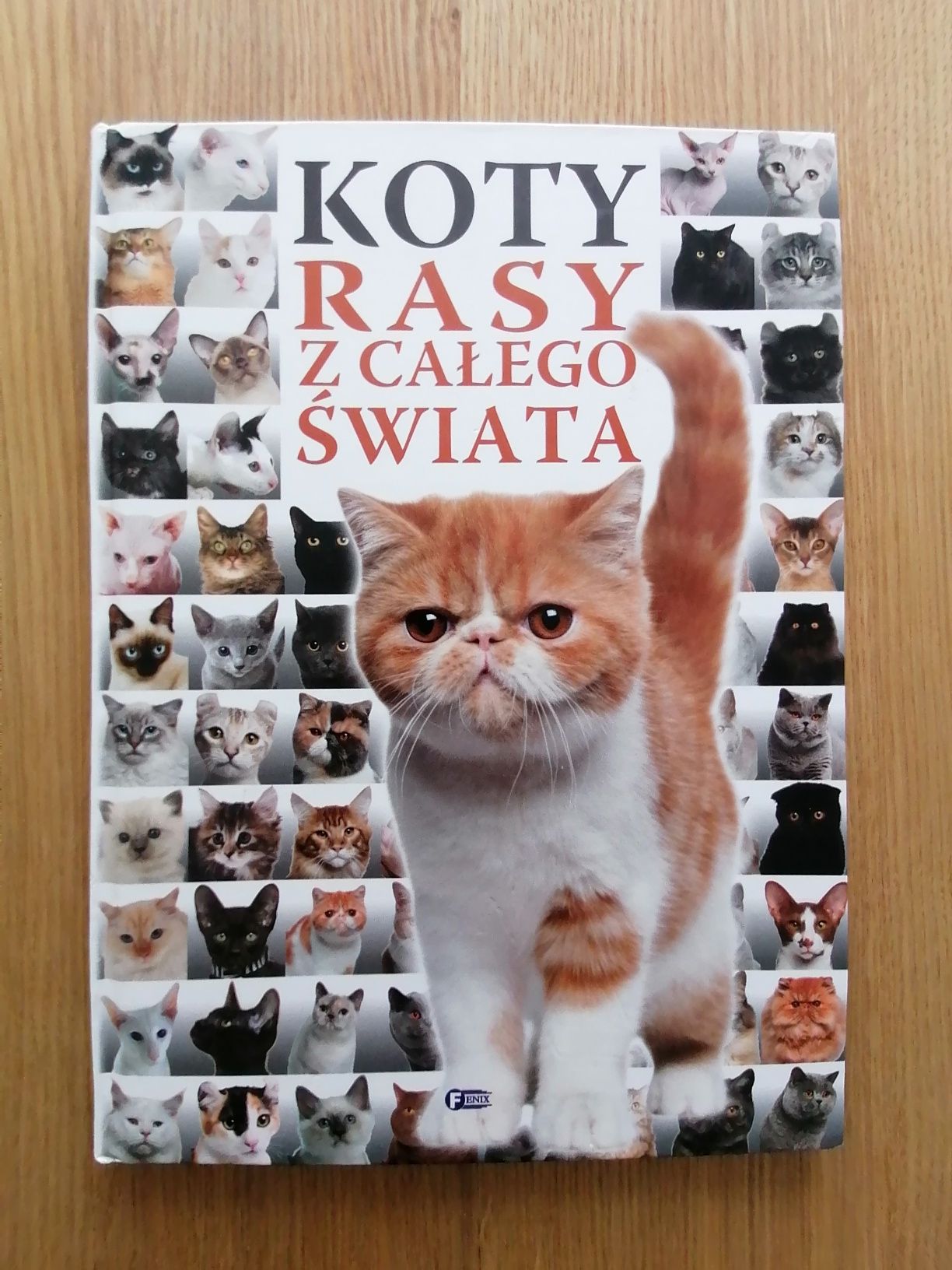 Książka "Koty rasy z całego świata"
