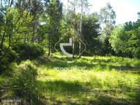 Vende-se terreno em Gondoriz