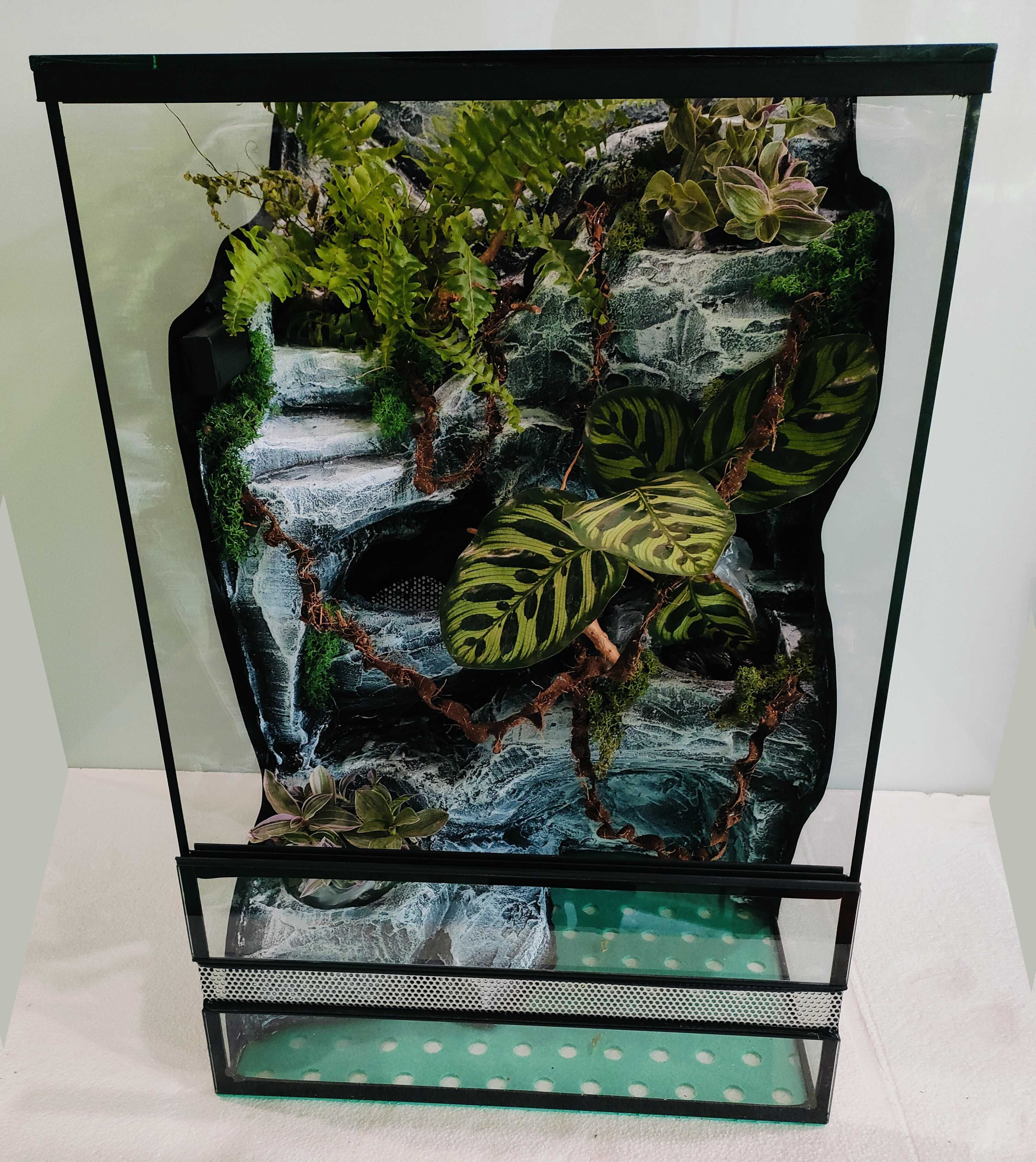 Terrarium dla gekona orzęsionego z wyposażeniem AquaWaves TW06WSz