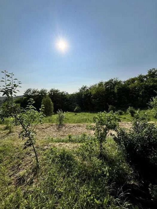 Від власника чудовий будинок. Музичі